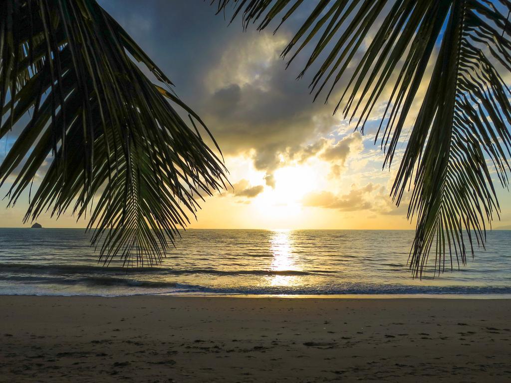 Marlin Waters Beachfront Apartments Palm Cove Camera foto