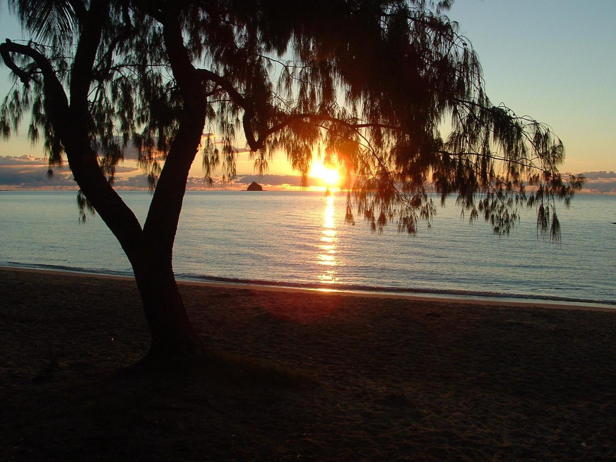 Marlin Waters Beachfront Apartments Palm Cove Esterno foto