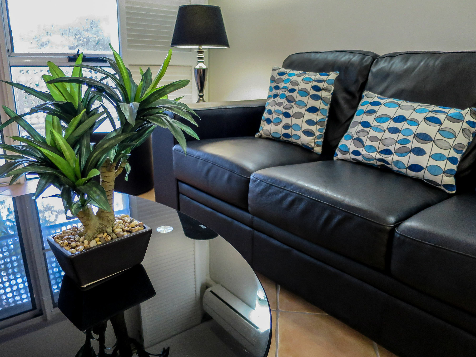 Marlin Waters Beachfront Apartments Palm Cove Esterno foto