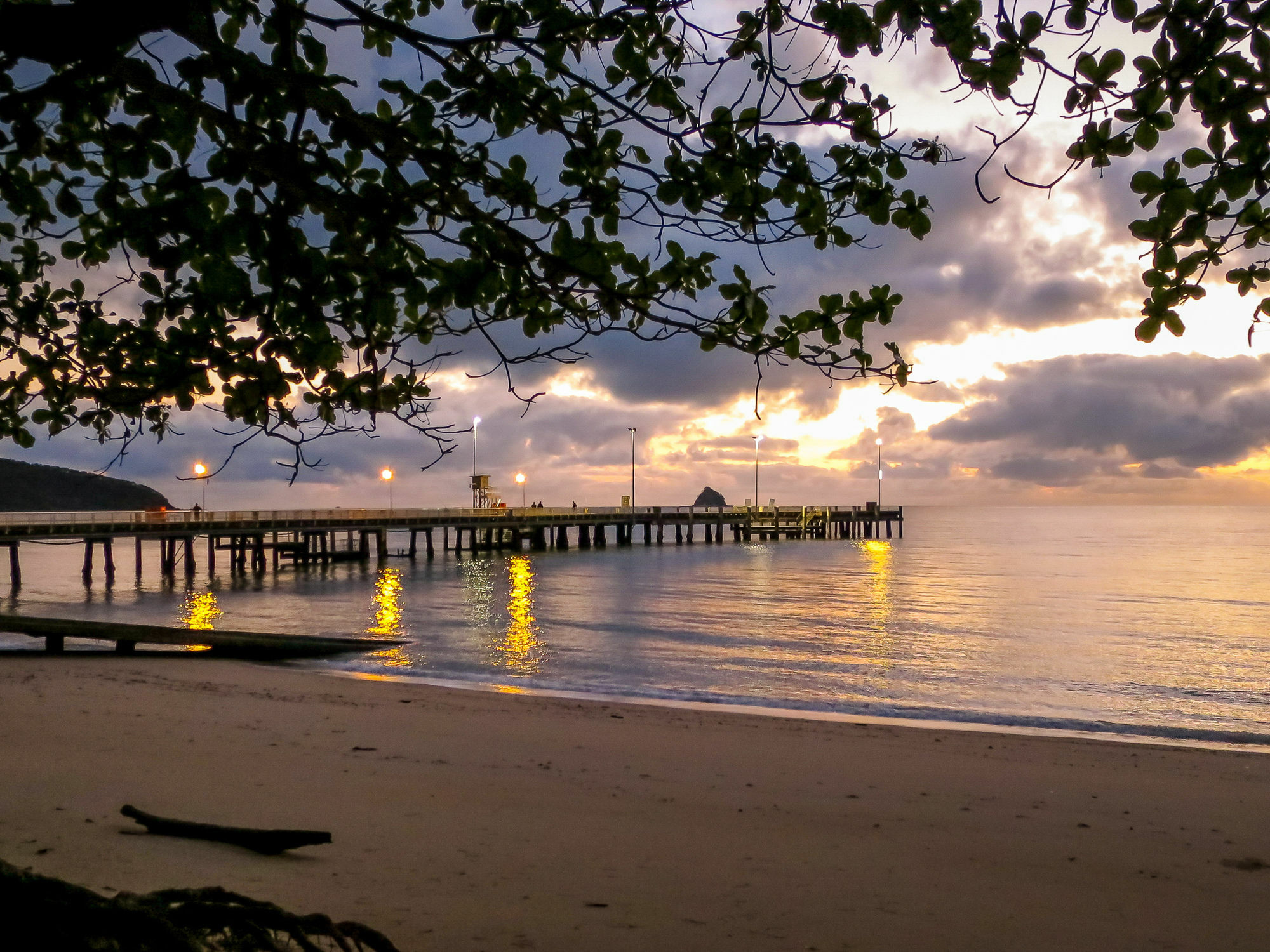 Marlin Waters Beachfront Apartments Palm Cove Esterno foto