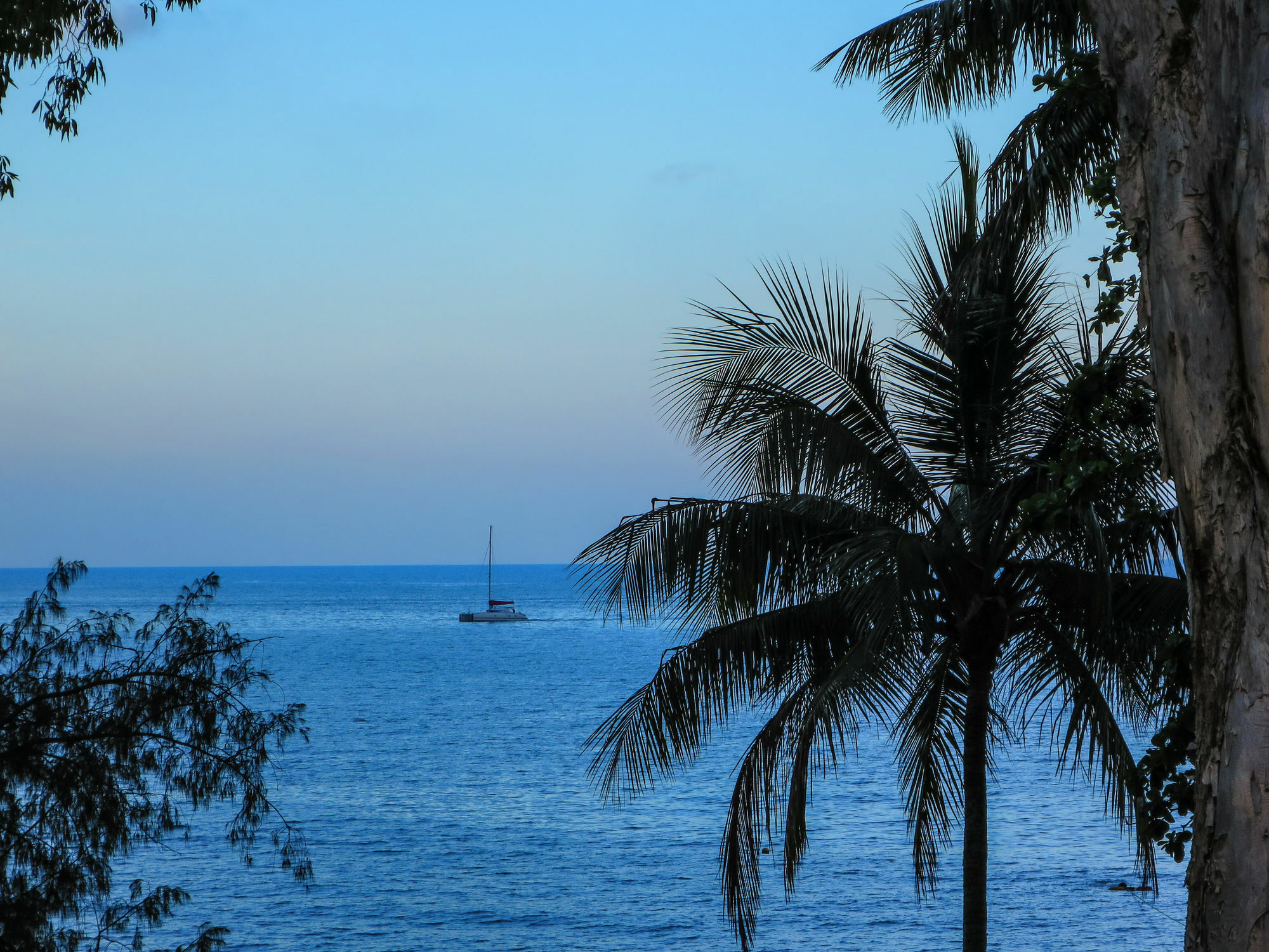 Marlin Waters Beachfront Apartments Palm Cove Esterno foto