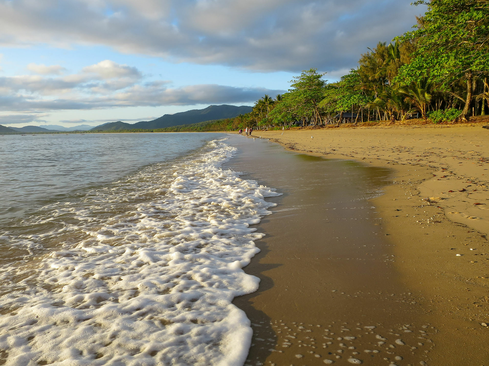 Marlin Waters Beachfront Apartments Palm Cove Esterno foto