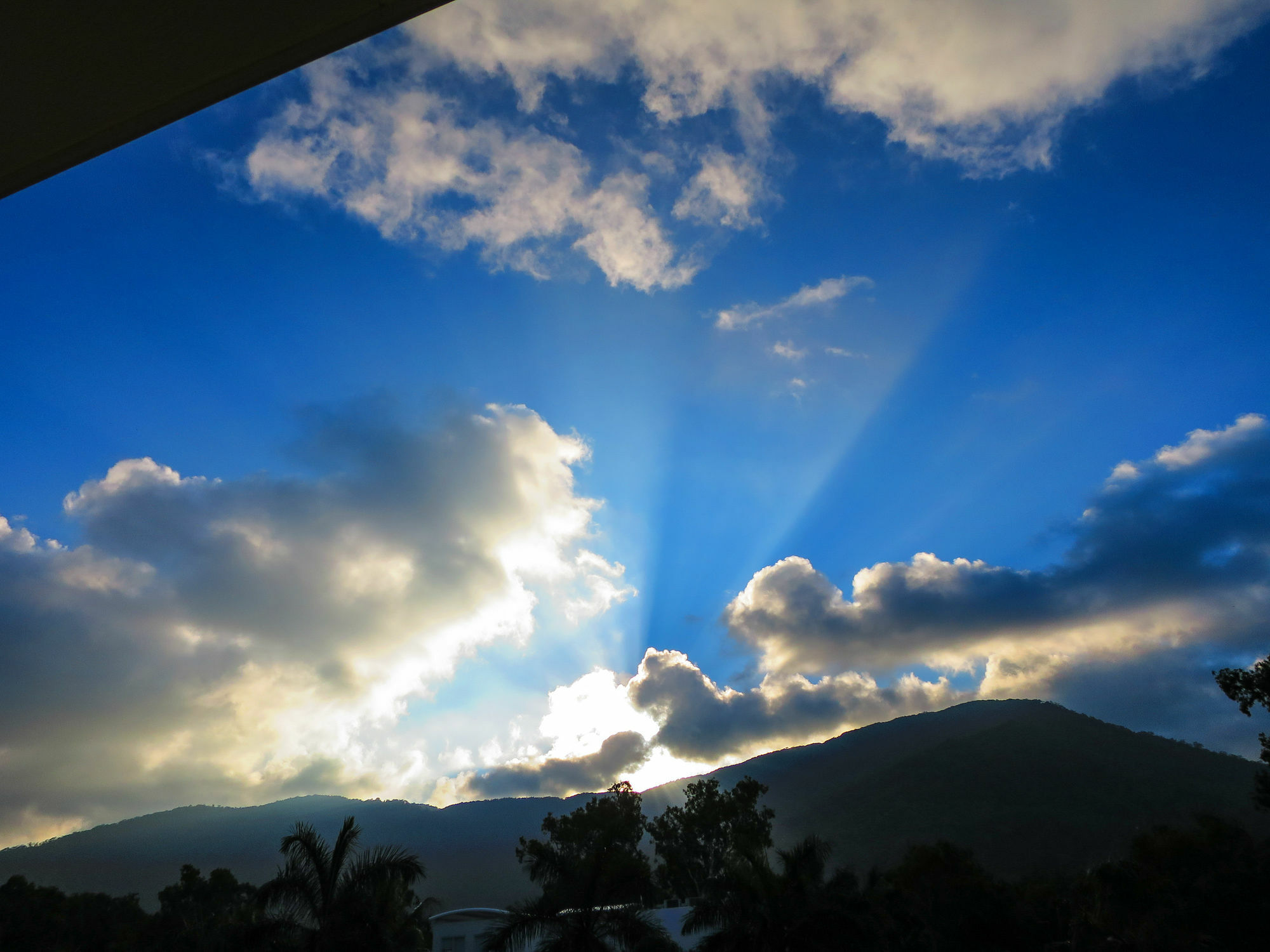 Marlin Waters Beachfront Apartments Palm Cove Esterno foto