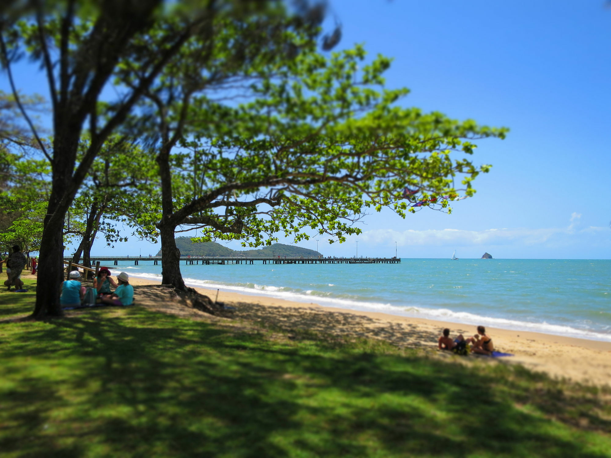 Marlin Waters Beachfront Apartments Palm Cove Esterno foto