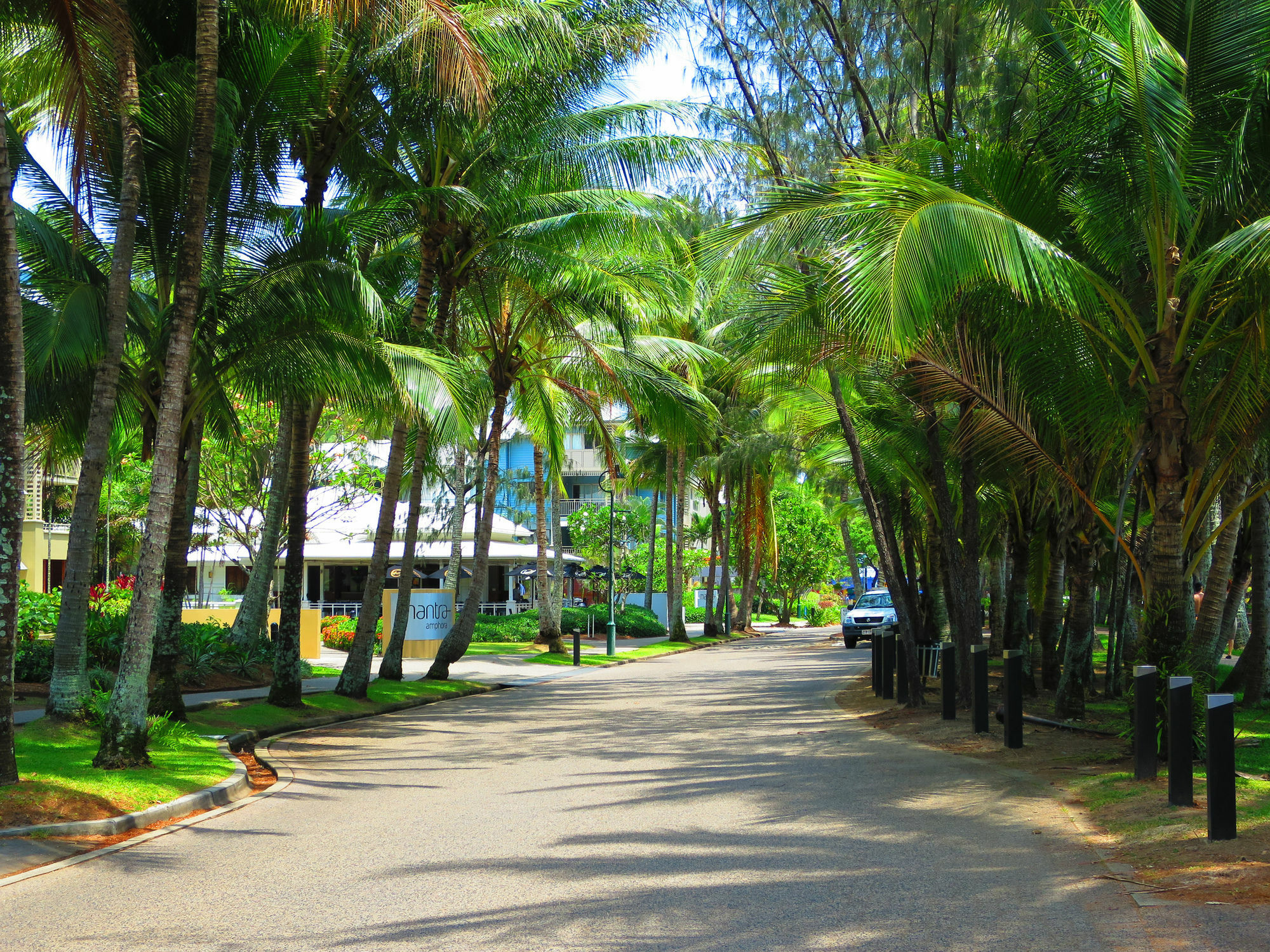 Marlin Waters Beachfront Apartments Palm Cove Esterno foto
