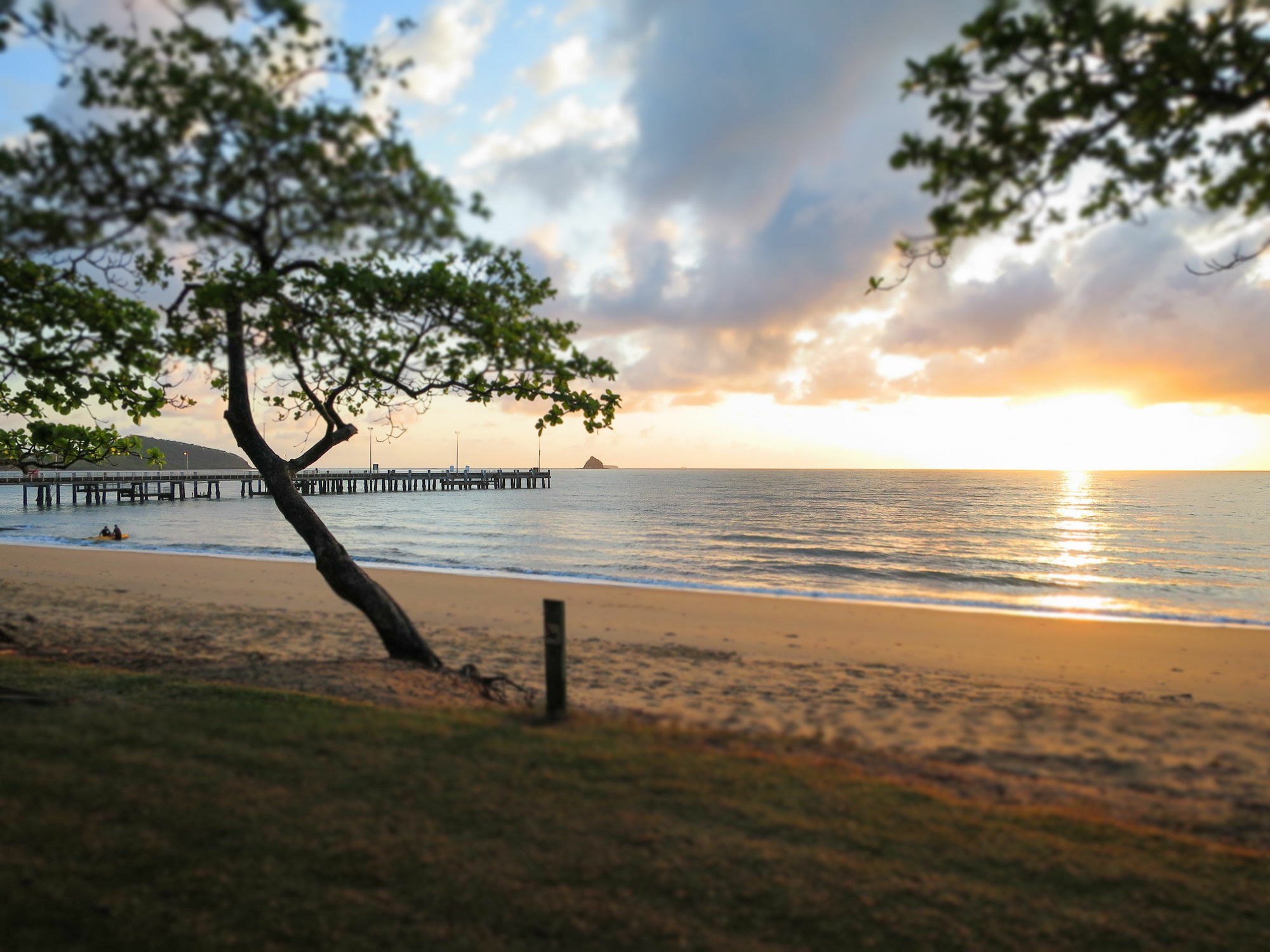 Marlin Waters Beachfront Apartments Palm Cove Esterno foto