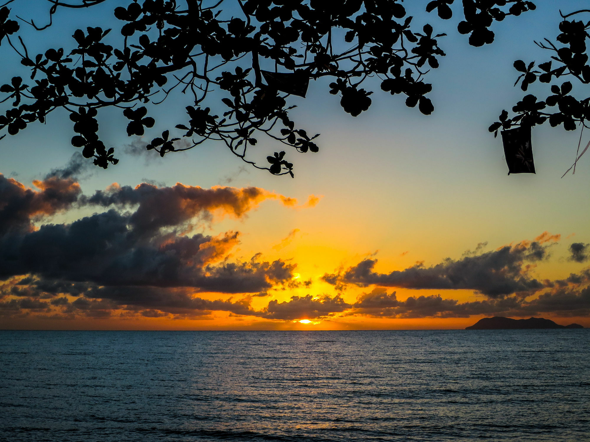 Marlin Waters Beachfront Apartments Palm Cove Esterno foto